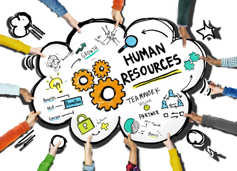 Seeking Human Resources Volunteering Opportunities